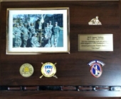 Plaques